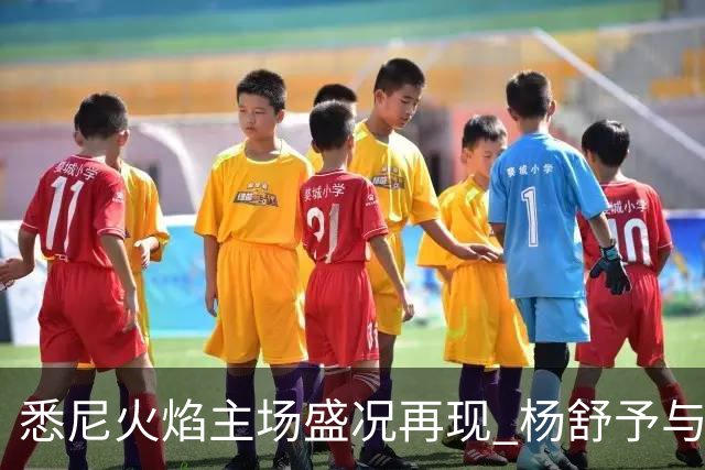 悉尼火焰主场盛况再现 杨舒予与队友共同庆祝胜利